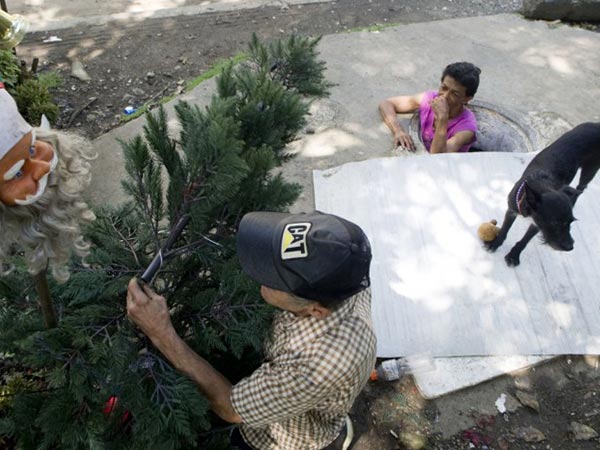 అలవాటుపడ్డారు