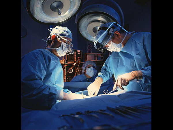 ఇలా రూపొందించారు 