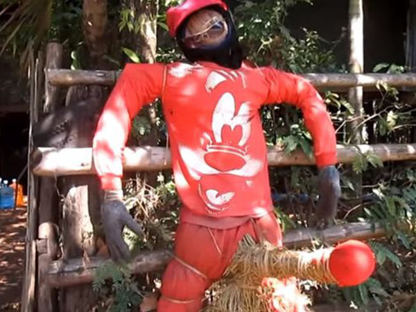 రక్షించుకోవొచ్చు