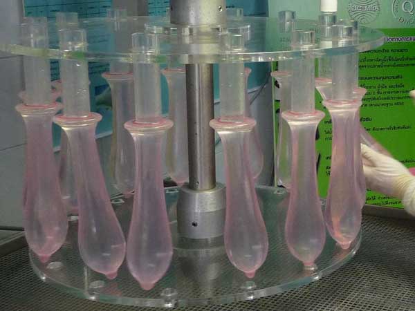 మొదటి కొనను పట్టుకుని 