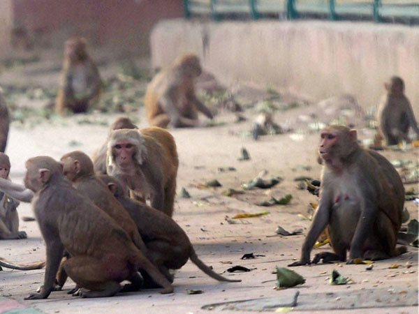 రూ.2 లక్షలున్న క్యాష్ బ్యాగ్ 