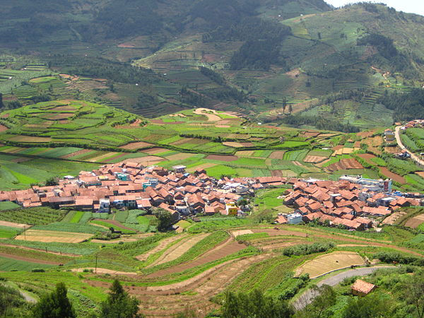 కొడైకెనాల్‌రోడ్‌