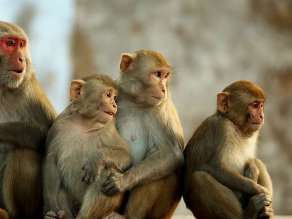 క్యాష్ బ్యాక్ లాక్కుని