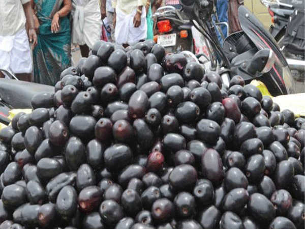 దంతాల సమస్యలకు..