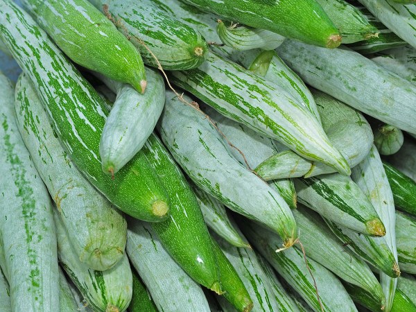 శరీరం చల్లబడుతుంది