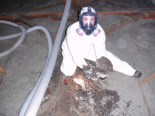 గోవాలో పరిస్థితి