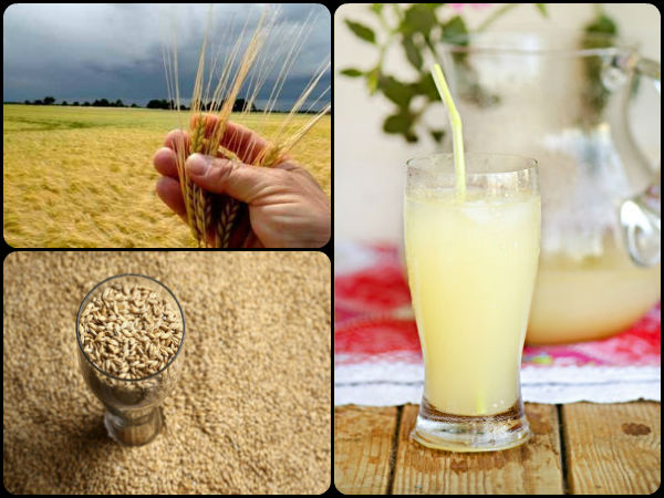 15 amazing barley water benefits drink up this elixir to good health 15 amazing barley water benefits drink up this elixir to good health