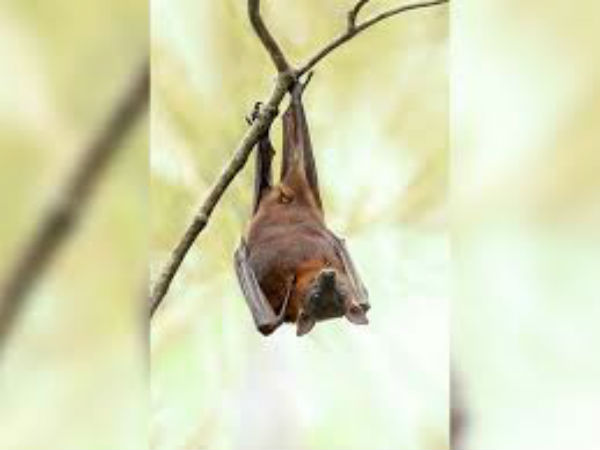 ఆనవాళ్లు లేవు