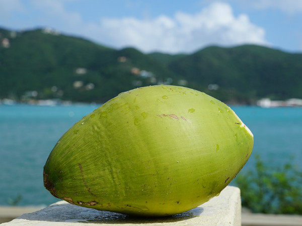 వృద్ధాప్యం బారిన పడకుండా