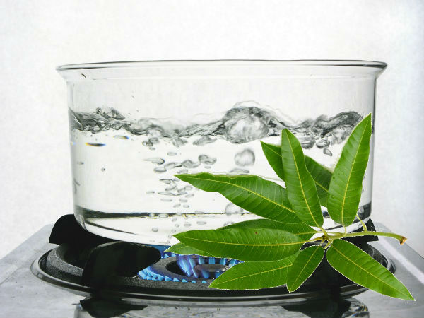 యాంటి ఆక్సిడెంట్స్ పుష్కలం