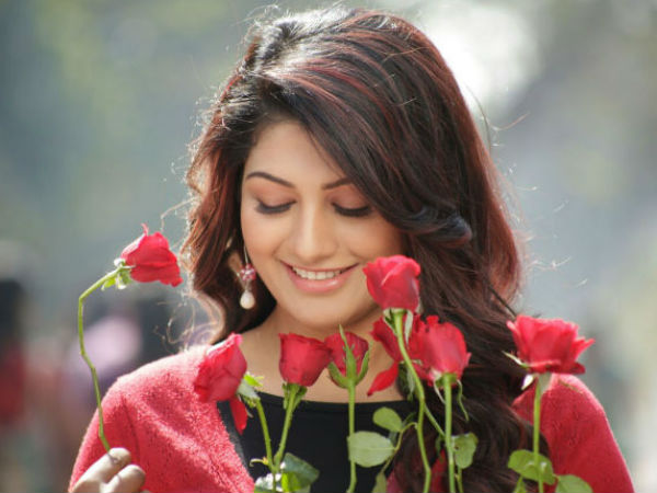 సినిమాల్లో బిజీ