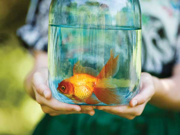 Vastu Tips To Attract Wealth