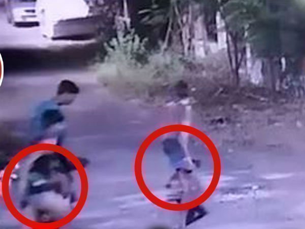 కొండల్లోనే చెడ్డీగ్యాంగ్ మకాం