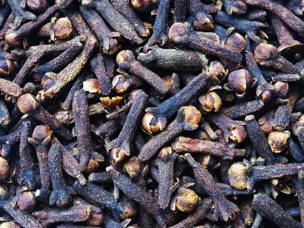 యాంటీ బాక్టీరియల్ గుణాలు పుష్కలం