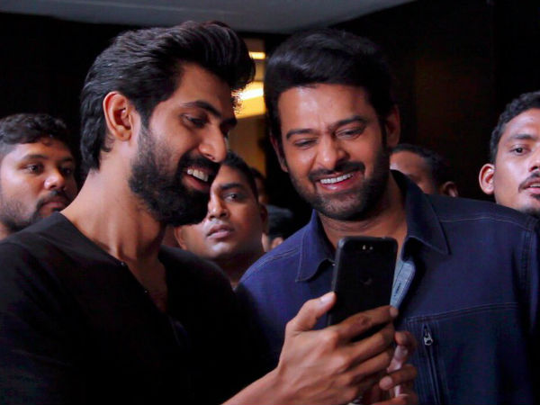 హథీ మేరీ సాథీ