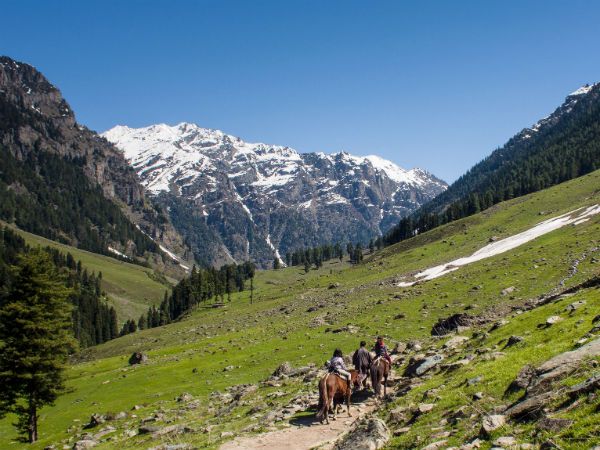 చిన్న డాబాలు