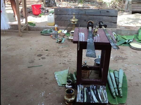 చేపలు, కల్లు