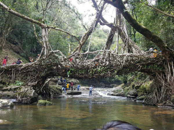 ముత్యాల్లాంటి వాన చినుకులొచ్చి