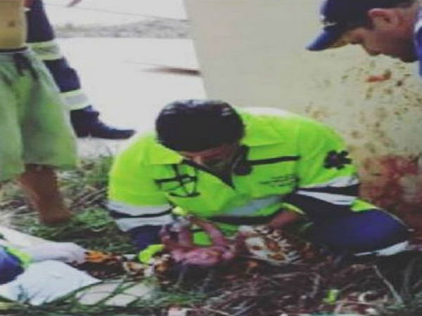 పసిపాప ఏడుపు వినిపించింది