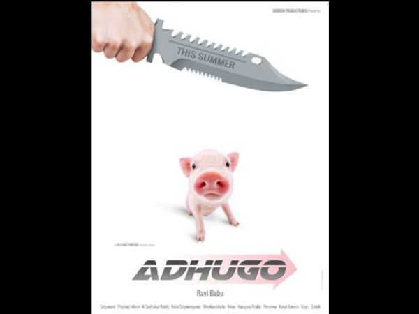 పందిపిల్లతోనే ఓపెన్ హార్ట్ ఇంటర్వ్యూకు