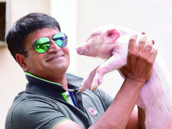 పందిపిల్లకు మంచి పేరు తీసుకురావాలి