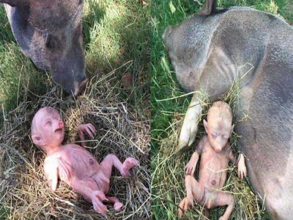 తెలుసుకుని షేర్ చేయండి