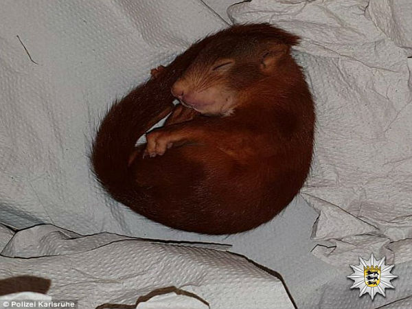 ఈ స్టోరీ విని ఆశ్చర్యపోయారు