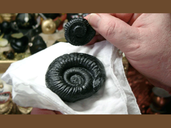 భర్తగా భావించి తాను చెప్పే ప్రతి పని చేసేది