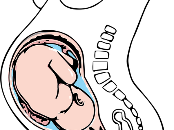 • మూత్రం చిక్కబడుతుంది