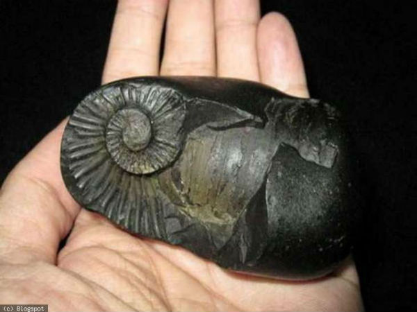 చితిలోకి దూకుతుంది