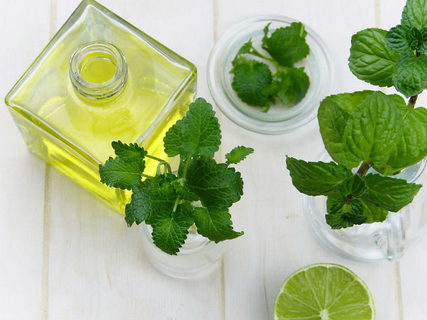 6. లెమన్-బామ్ (నిమ్మజాతి కాదు)