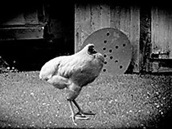 తల నరికినా కూడా చనిపోకుండా 