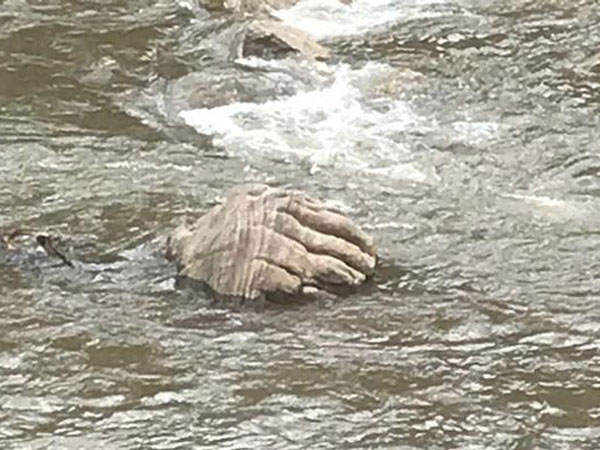 ఆసక్తికర ఘటనలు