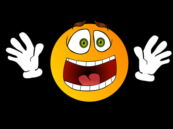 పాపం యోనిలోకి వెళ్లిందిగానీ