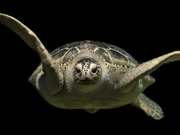 ఫుల్ గా తాగినప్పుడే