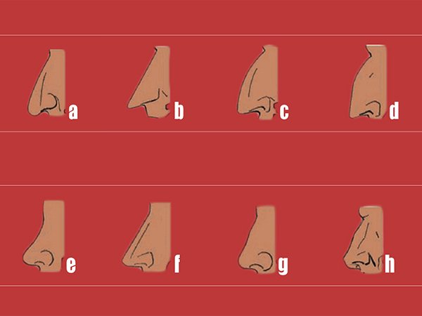 చిన్న ముక్కు