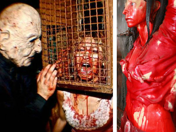 కుక్కలకు తినడానికి