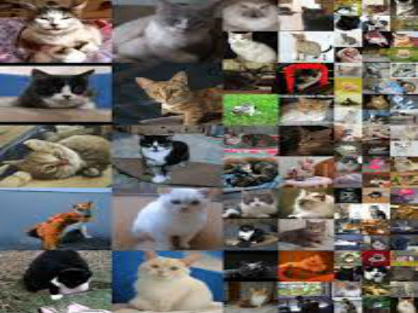 Artificial Intelligence Creates Portraits Of People Who Don’t Exist