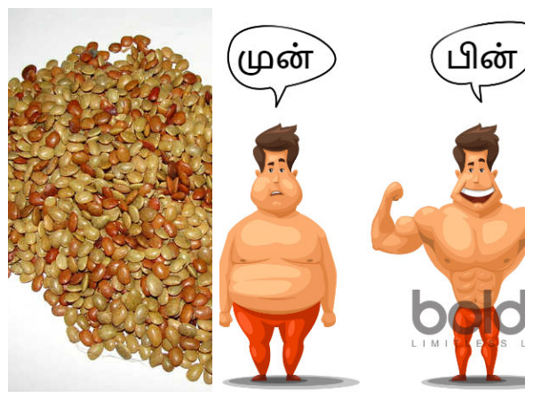 కొవ్వు మొత్తం