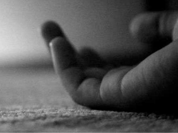 డాక్యుమెంటరీలు తీసింది