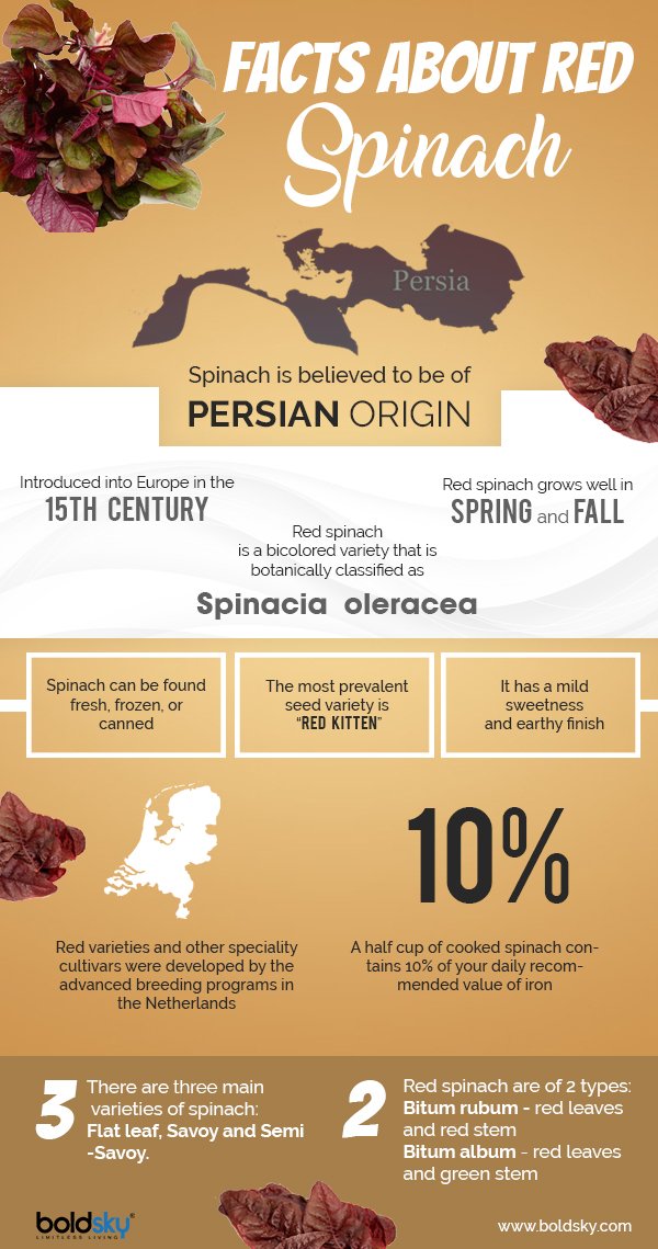 20 Wonderful Benefits Of Red Spinach, Nutrition & Recipes