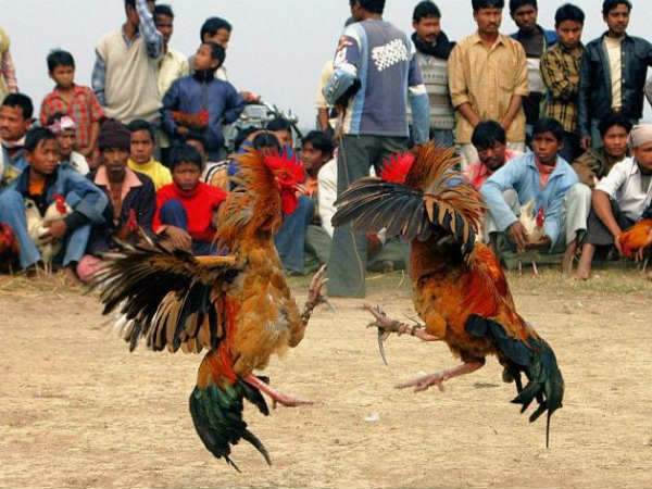 6 వేల ఏళ్ల కిందటే