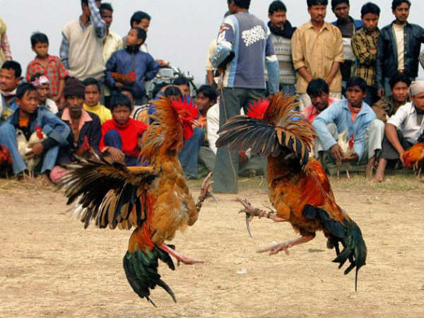 పొలి వేస్తారు