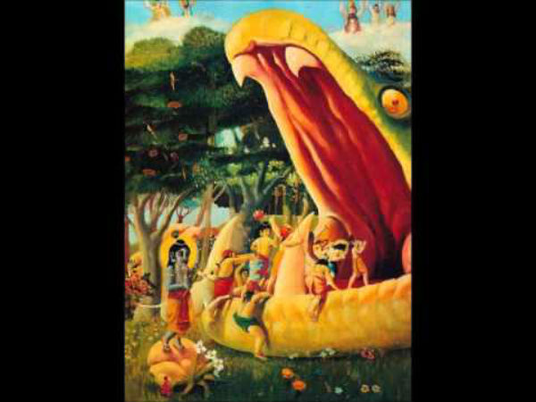 గోవులను తోలుకుని