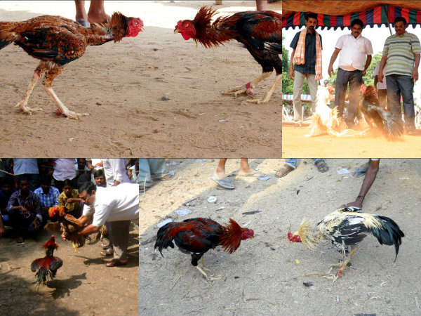 కోర్టులు వద్దంటున్నా