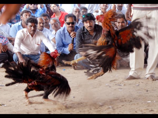 పెద్దల ప్రమేయం