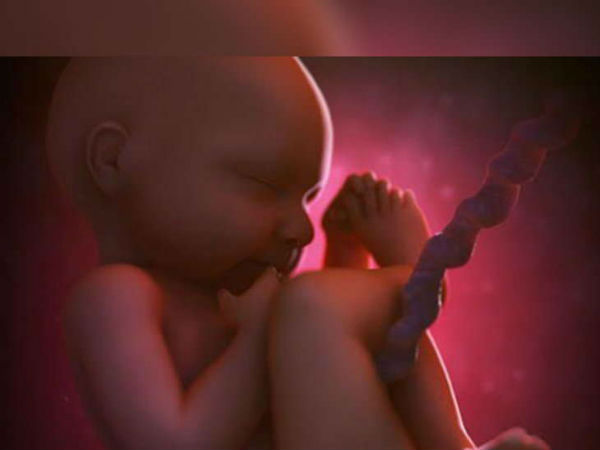 తల్లి గర్భంలో ఉన్నప్పుడే