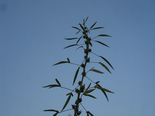 చాలా మార్పులు