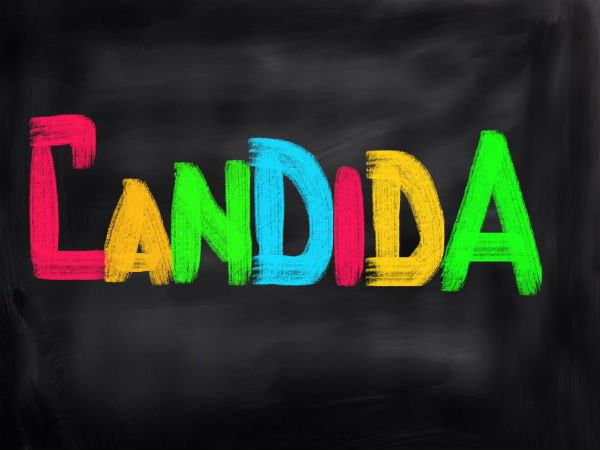 కాండిడా అనే ఫంగస్