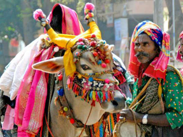 పశువులకు ప్రాధాన్యం